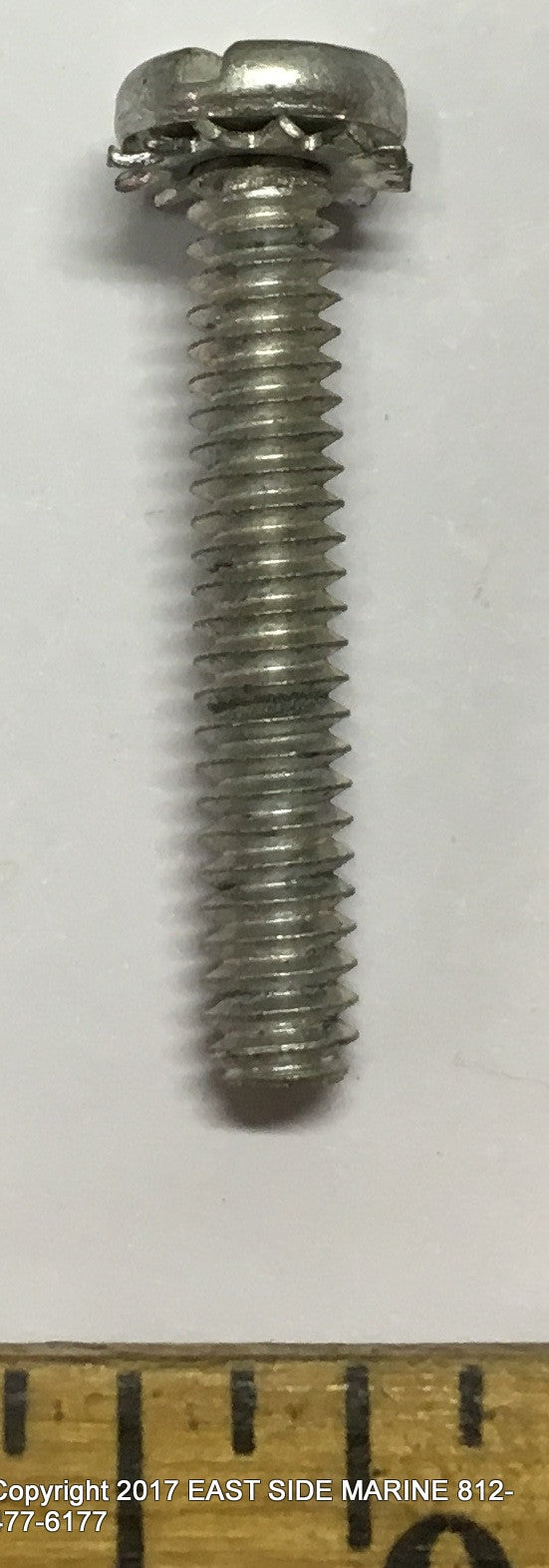  307196 NLA Screw for Sale