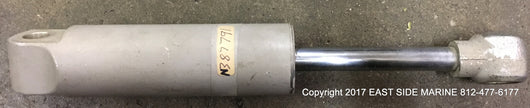 387791 Shock Absorber for Sale
